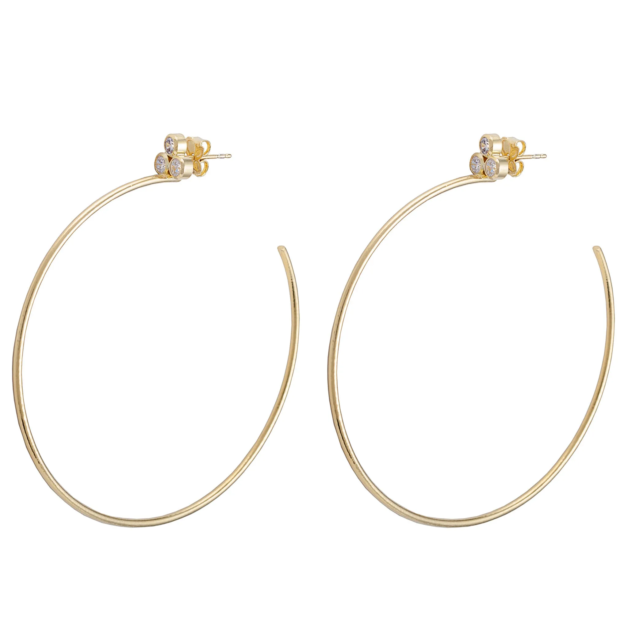 Ariela Hoops