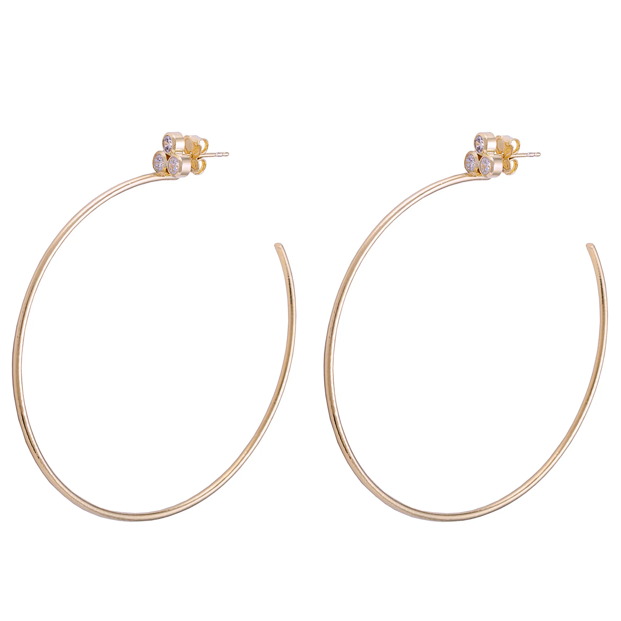 Ariela Hoops